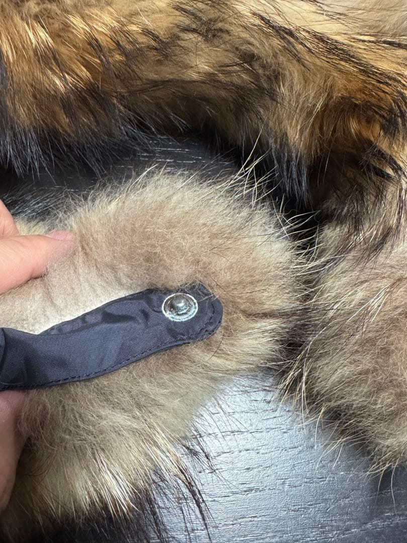 【リアルファーカスタム】THE NORTH FACE / アンタークティカパーカ