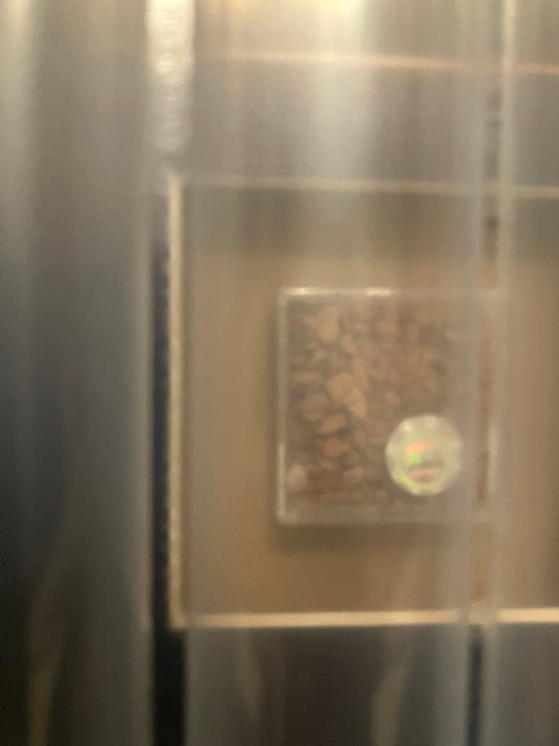 ドジャース 2025年WSチャンピオン 試合使用球、ベース、土 限定品　大谷翔平