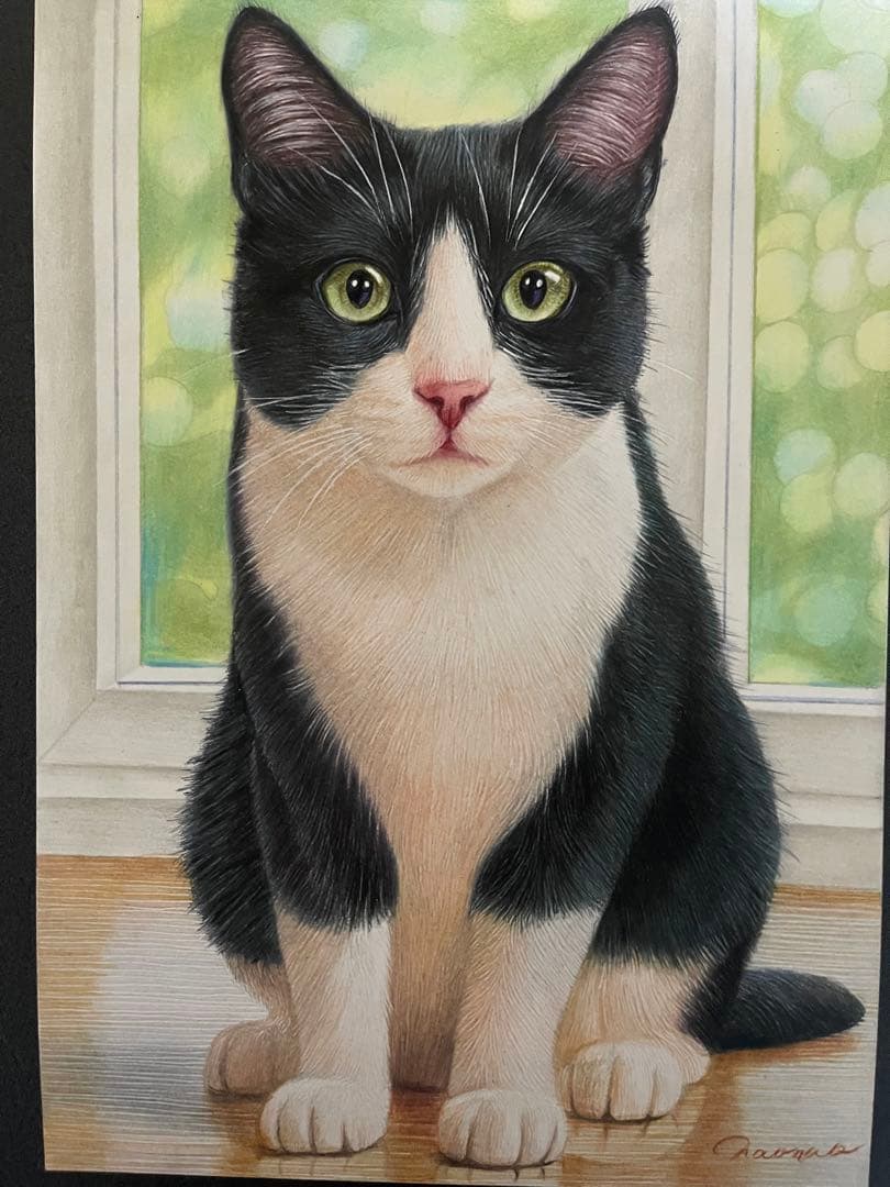 色鉛筆画 A4 ハチワレ猫126