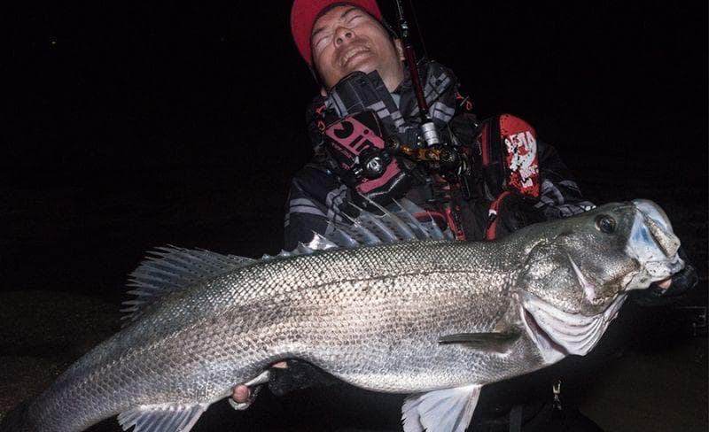 【Fishman/フィッシュマン】BRIST VENDAVAL 8.9M /*