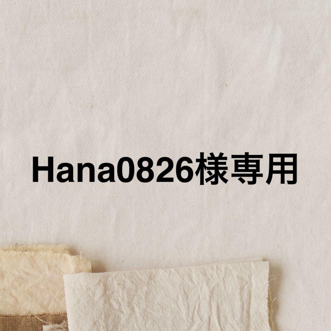ファイル・バインダー・ケース Hana0826