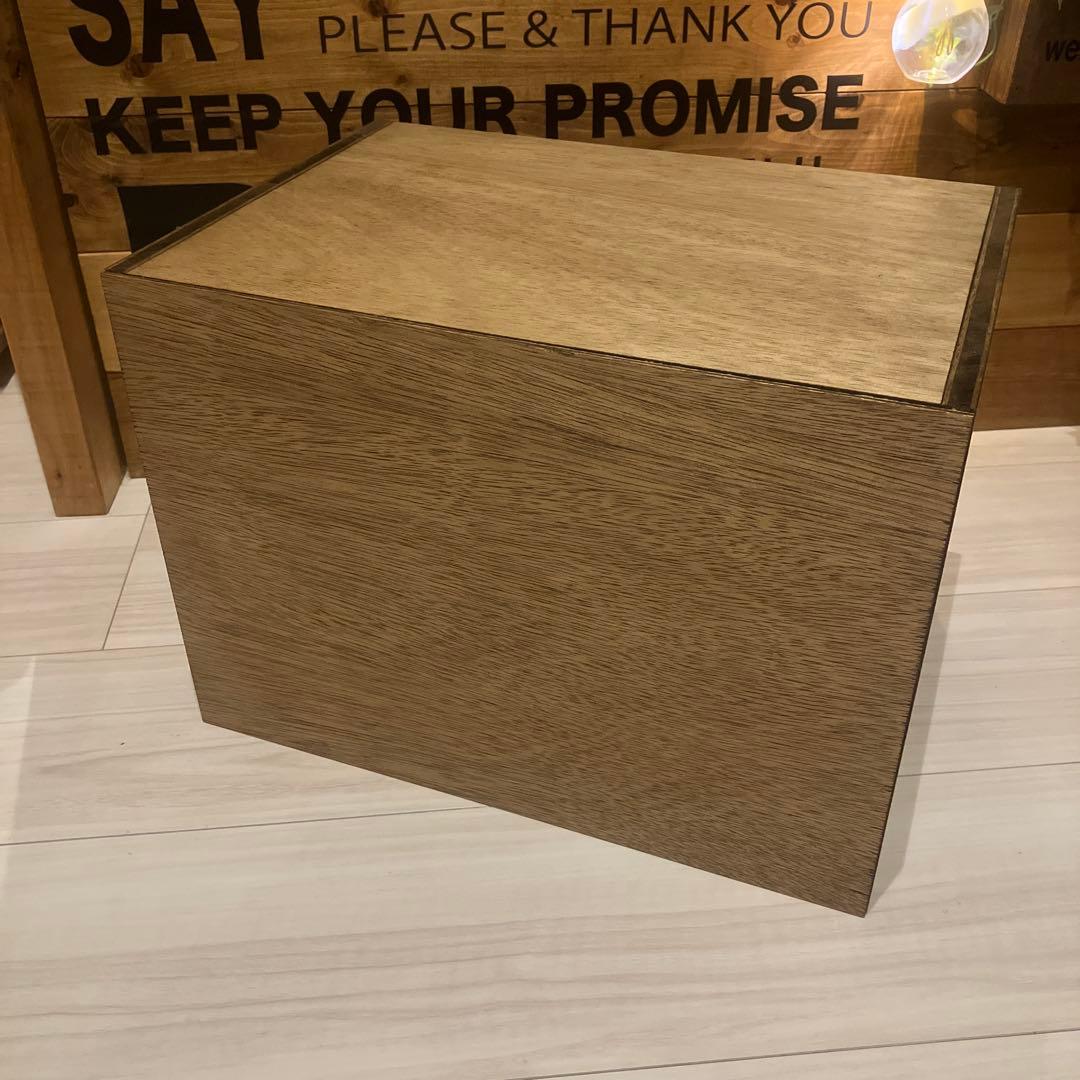 あすてるるる13　オーダー品　ハンドメイド　レターケース