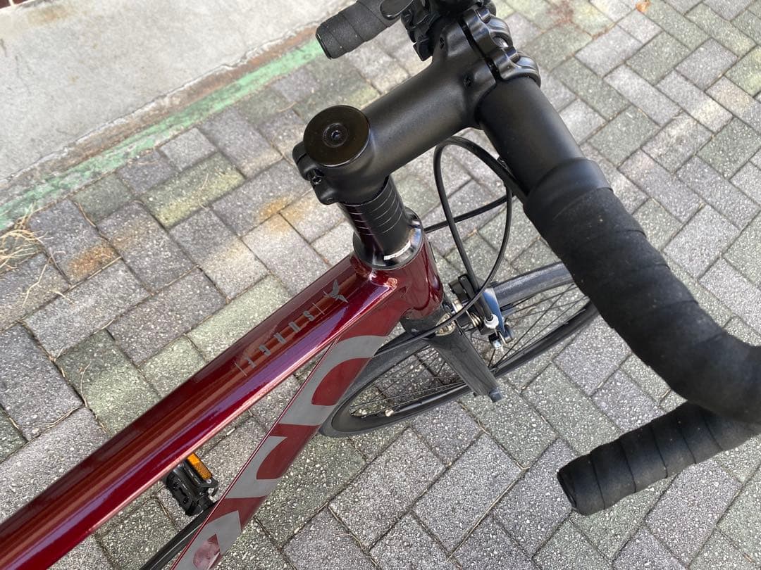 【美品・引き取り希望】tern surge ミニベロ プチカスタム