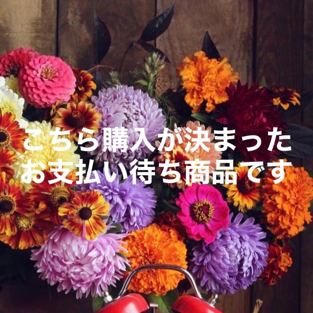 【新品】Man すのチル ソフビ 9体コンプリートセット