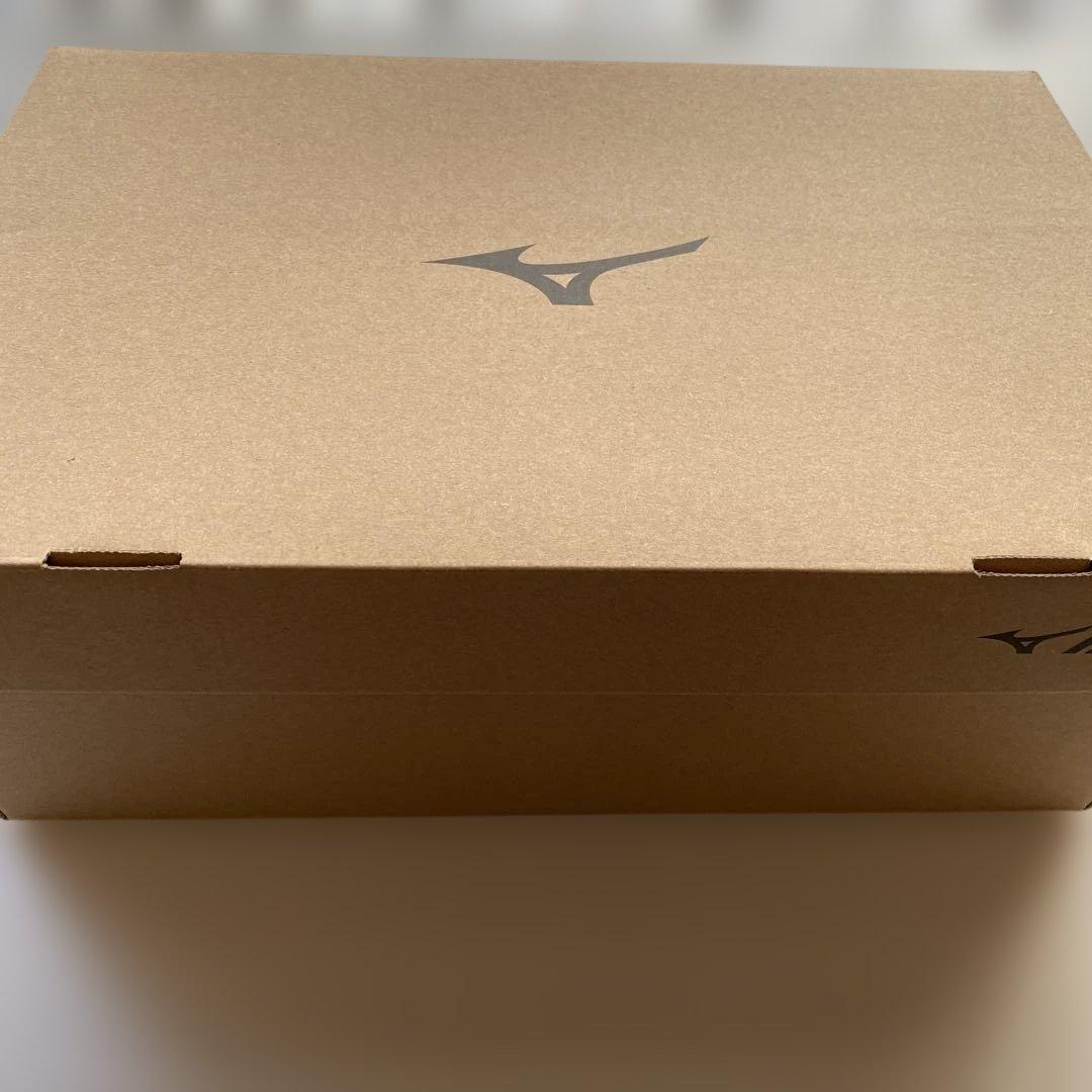 【屋外未使用品】Mizuno ALMIGHTY TDⅡ81H 直営店限定モデル