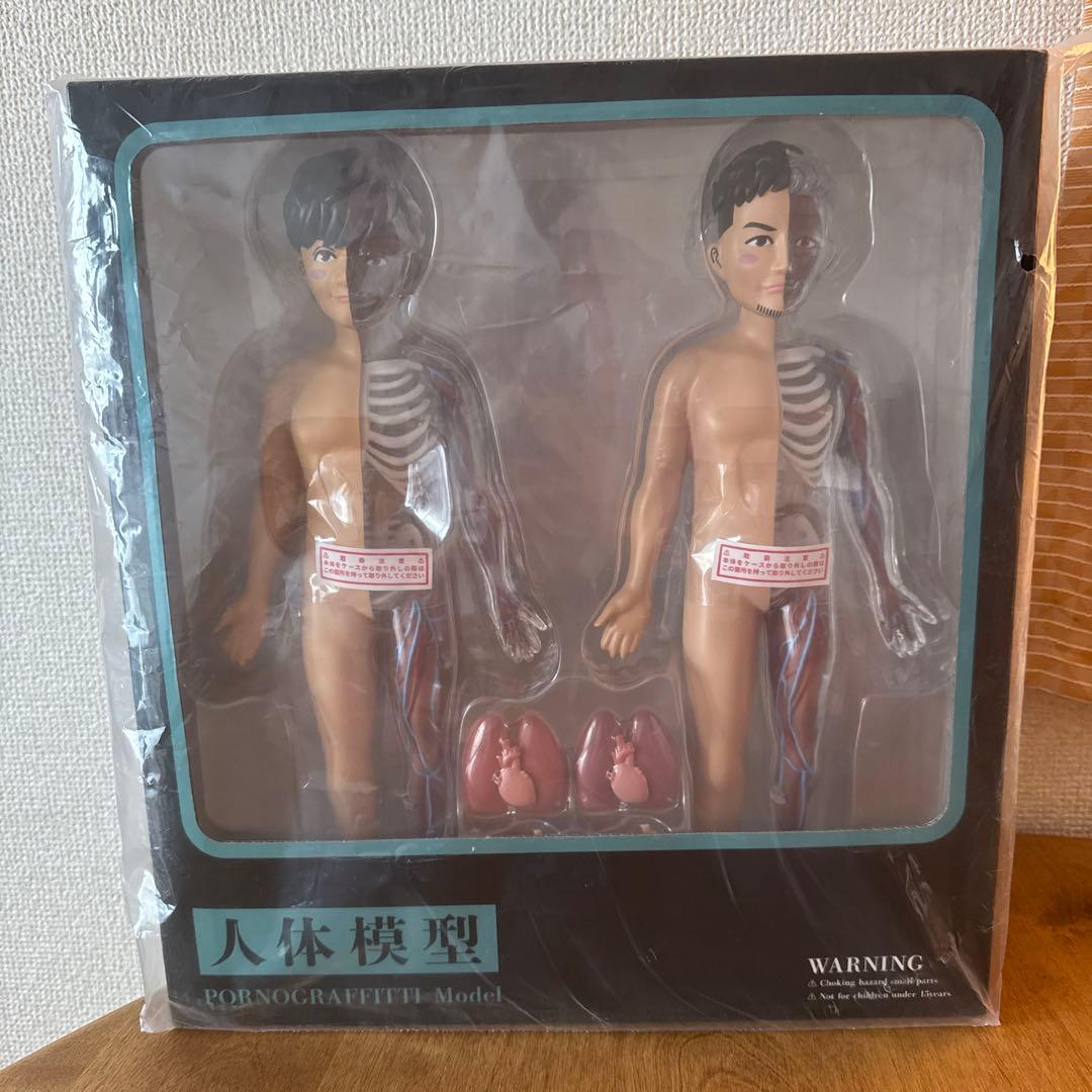 人体模型 〜PORNOGRAFFITTI Model〜