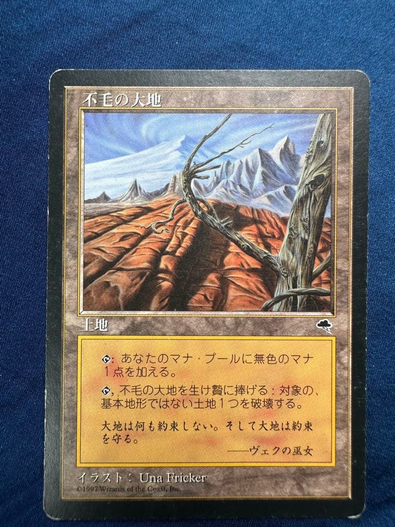 不毛の大地　Wasteland 4枚　テンペスト　MTG