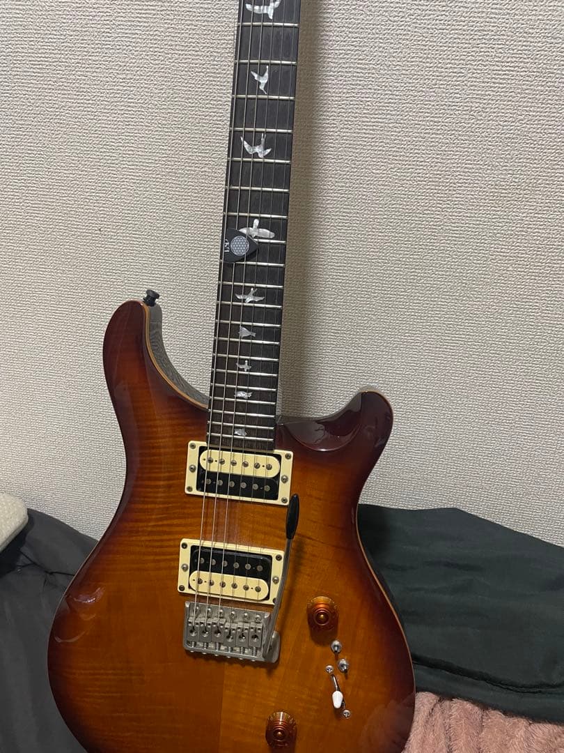 ギター PRS custom