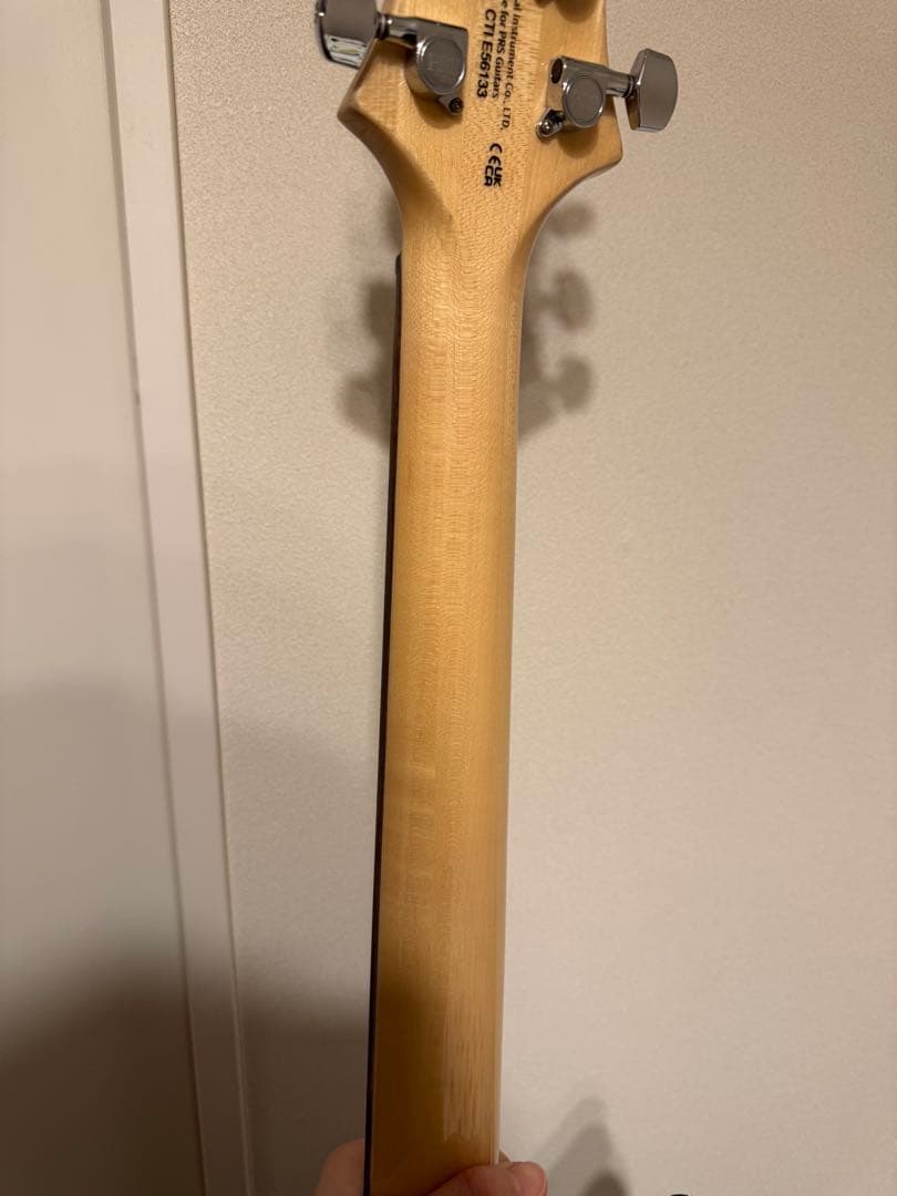 ギター SE Custom24 ryo.oyr621