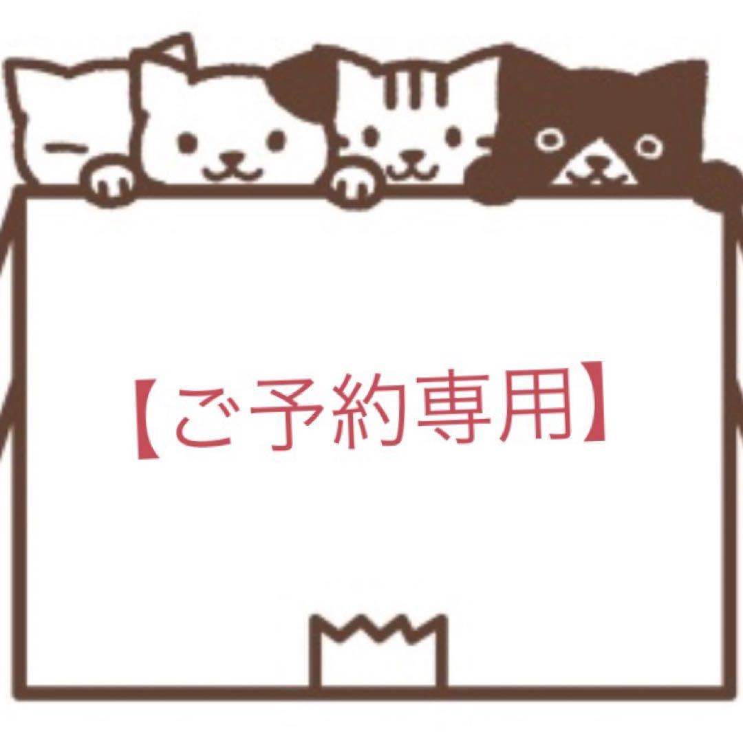 Dr.Kドクターケイ ケイCコントロールリペアセラム 先行美容液 8ml×14