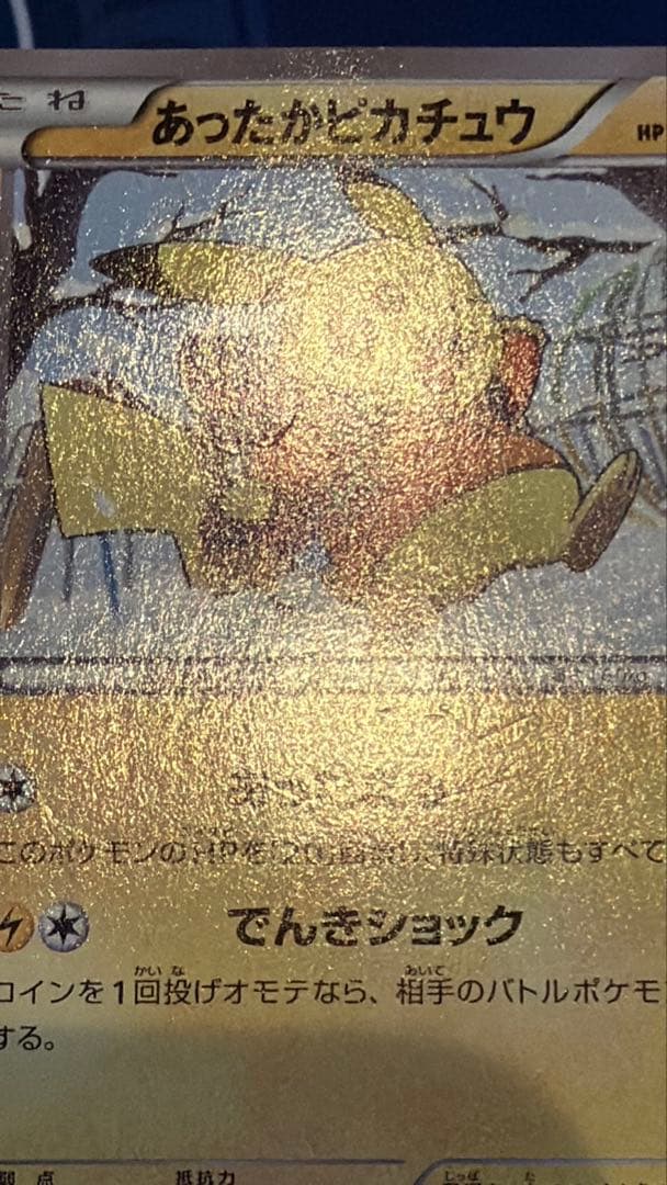 あったかピカチュウ4枚セット