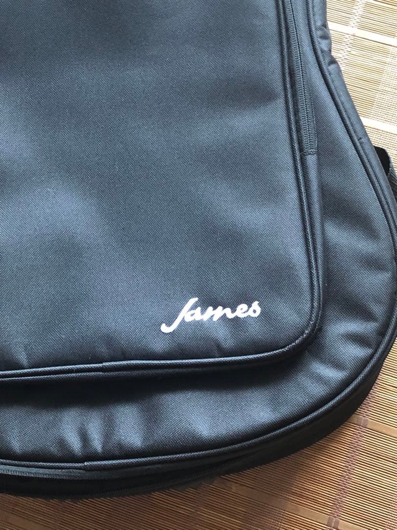 James ジェームス J450Aピックアップ