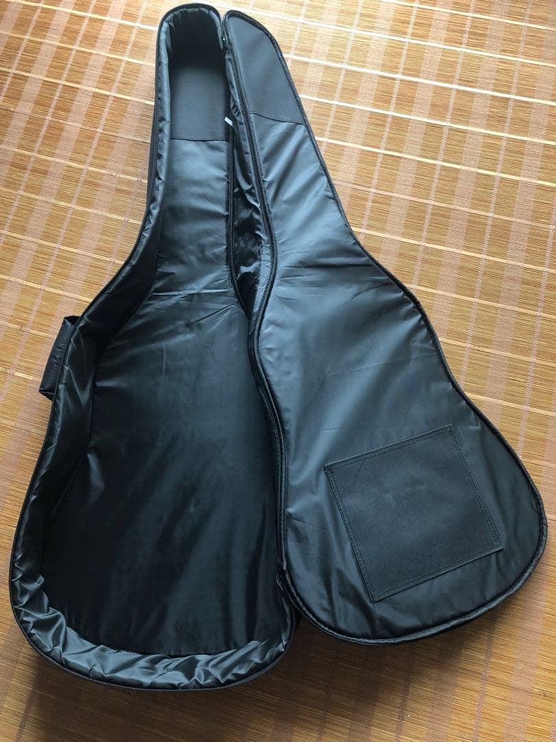 James ジェームス J450Aピックアップ