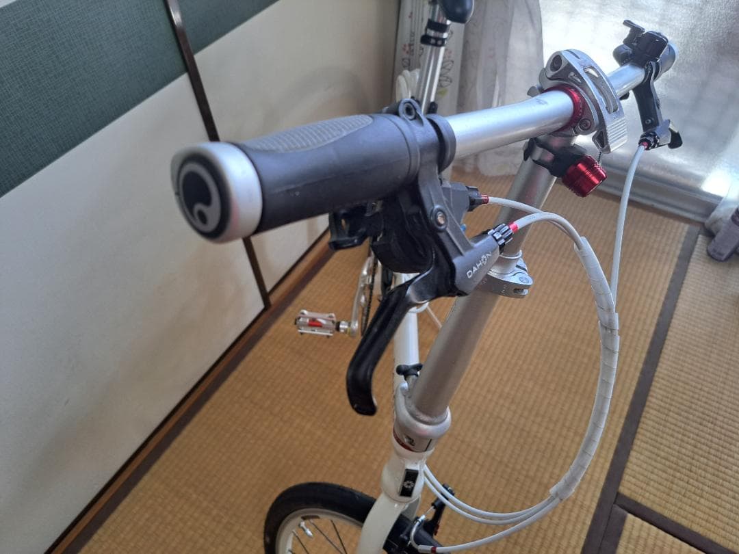 ダホン ルート10sフルカスタム　　　　　　　　DAHON ROUTE