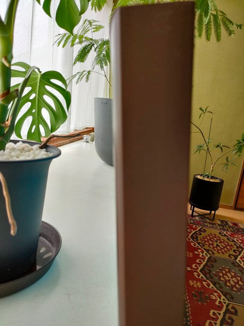 油彩画　油絵原画　Ｆ30号　【アンコールワット】　一点物　芸術作品