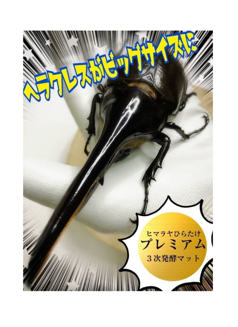 デカイ！20Lケース入りプレミアム発酵カブトムシマット【2セット】幼虫入れるだけ