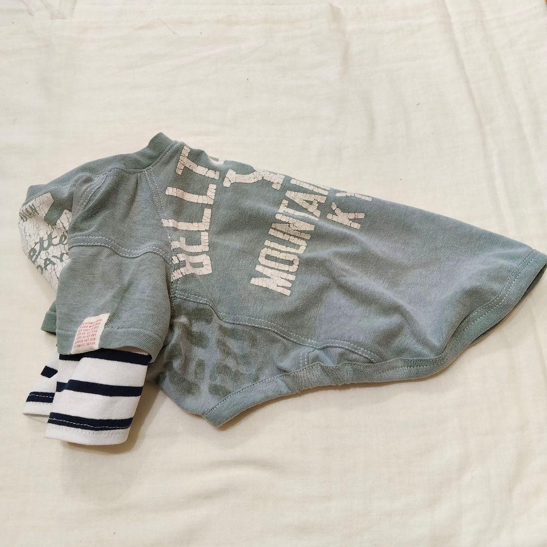 犬服 胴46 ☆371 重ね着風Tシャツ
