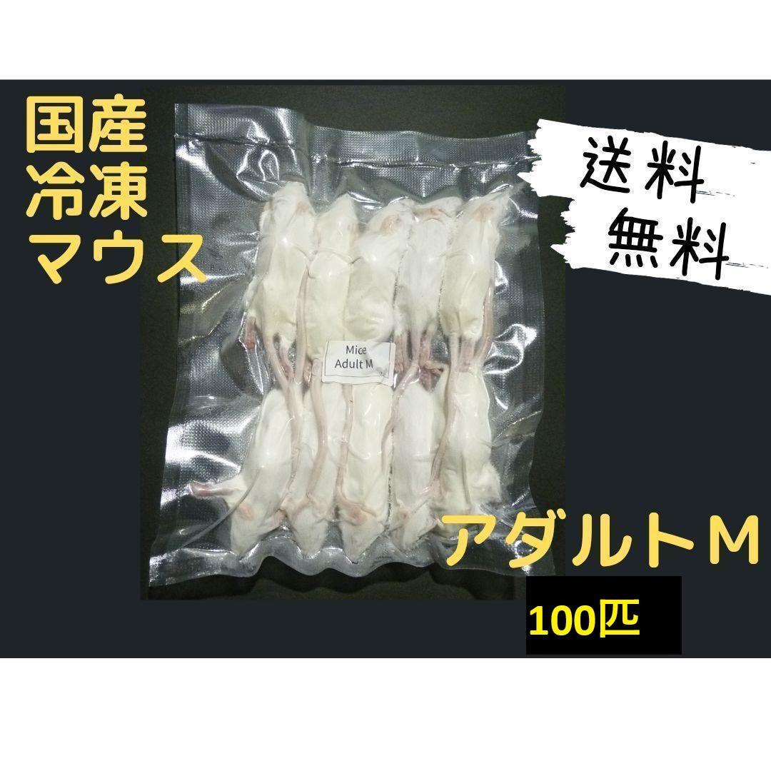 国産冷凍マウス アダルトM 100匹(一部地域発送不可)