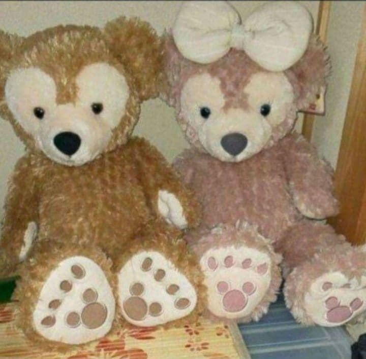 ディズニーリゾート　ダッフィー&シェリーメイ　M　クリスマスプレゼント