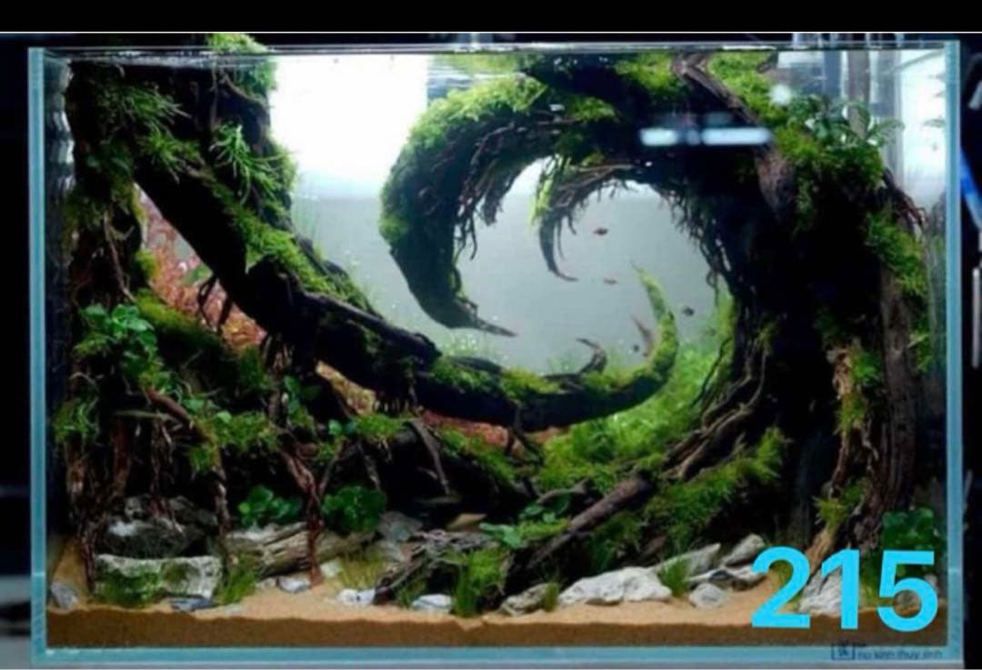 水槽用流木レイアウト 。水槽用流木アクアリウムレイアウト。水槽用流木 。盆栽流木