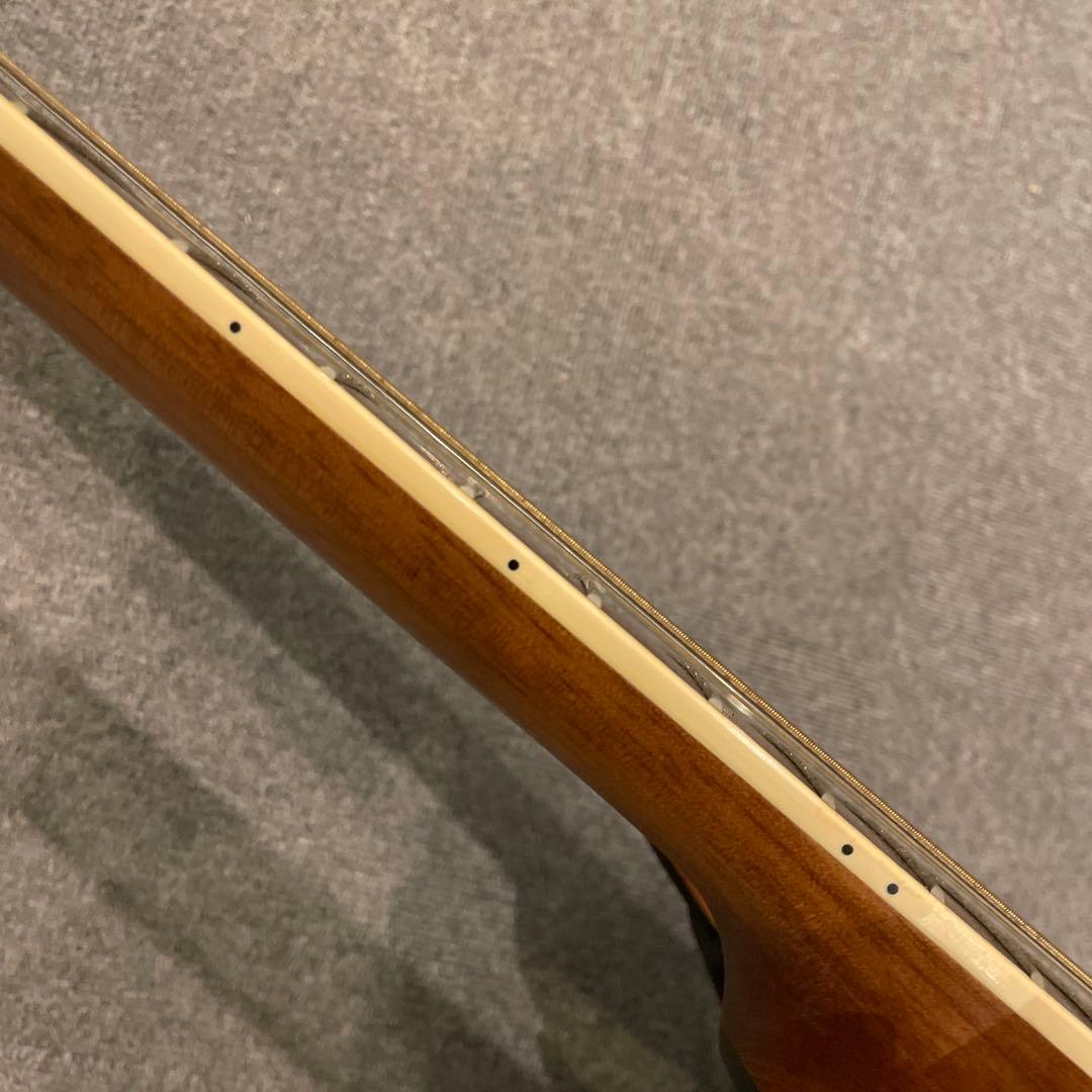 オベーション セレブリティ CSE225 ダブルネック 12弦&6弦 送料込