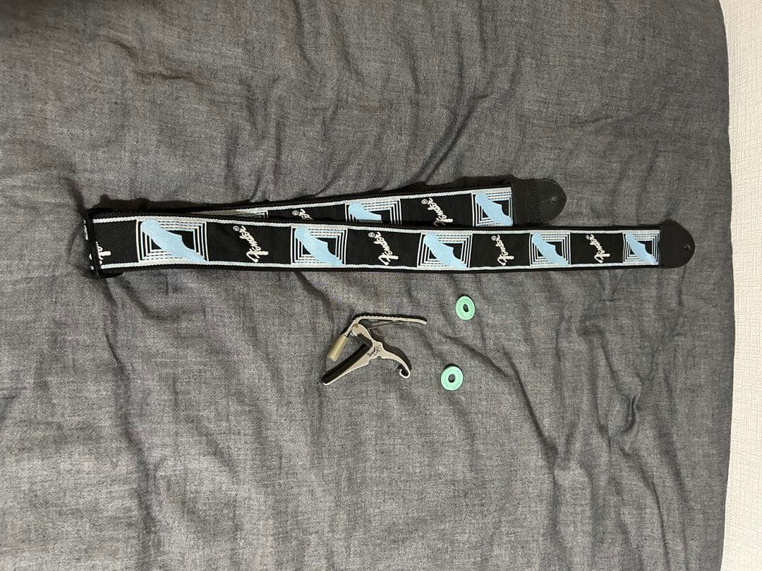 フェンダージャパン テレキャスター シンライン くすみグリーン