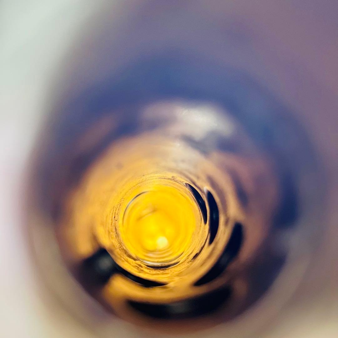 MAXTONE マックストーン アルトサックス ハードケース