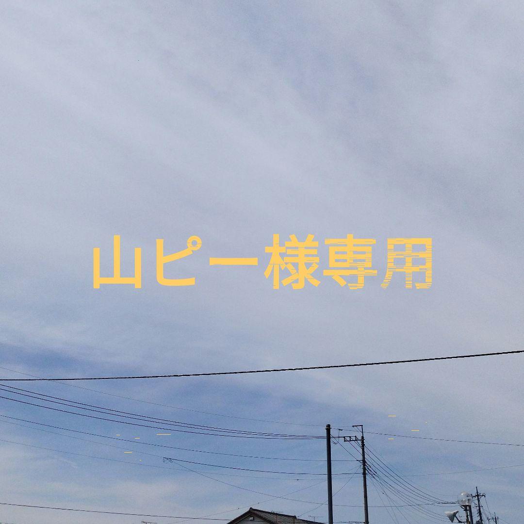 山ピーページ