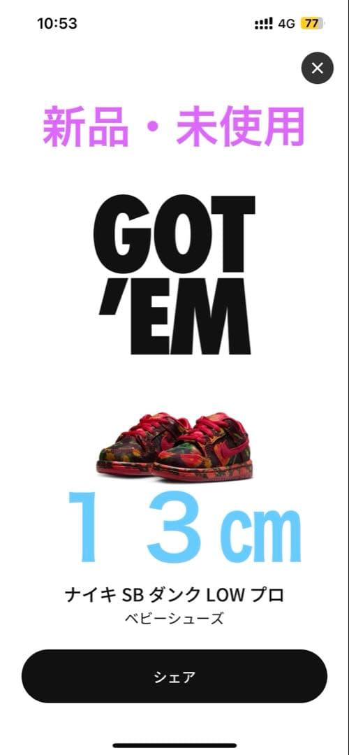 オズの魔法使い × ナイキSB TDダンクロー \