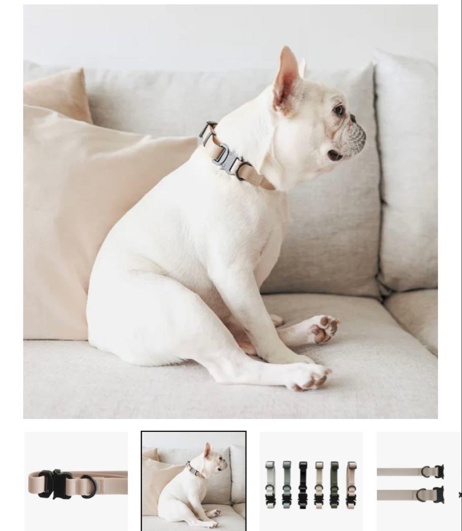 LAMBWOLF COLLECTIVE 首輪&リード