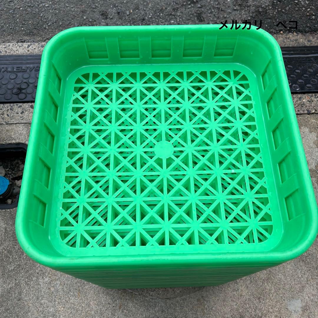 【中古菌糸コンテナL20個】 菌床ボトルの整理に最適　積み重ねでスペース確保♪