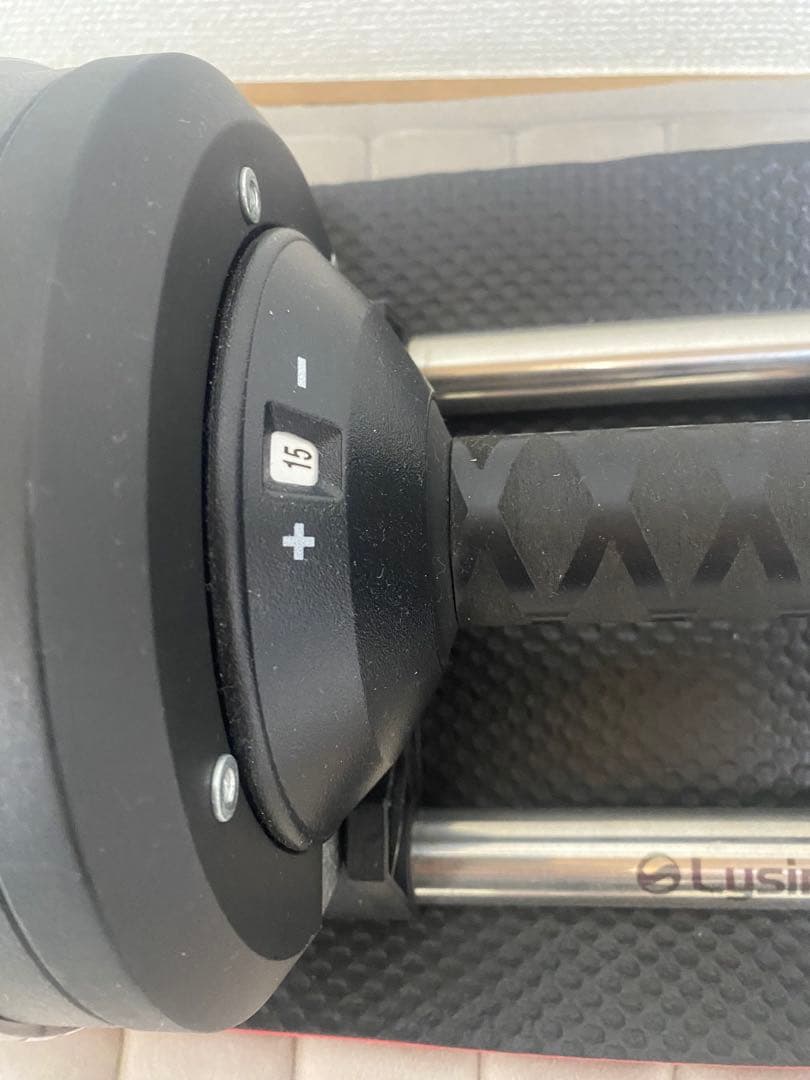 ライシン 可変式メタルダンベル 1kg刻み 3-32kg 2個セット