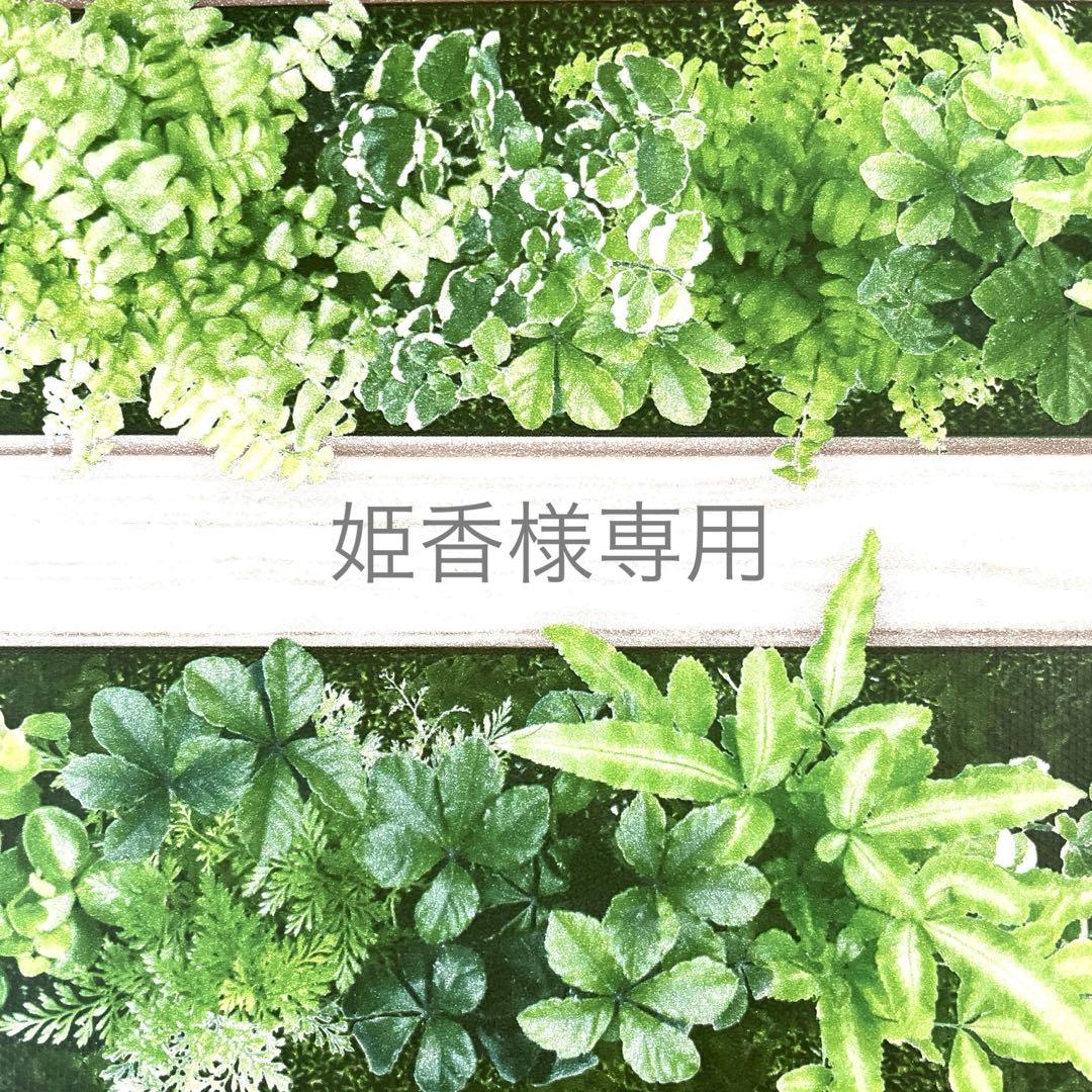 姫香ページ トリミングチョーカー 夏