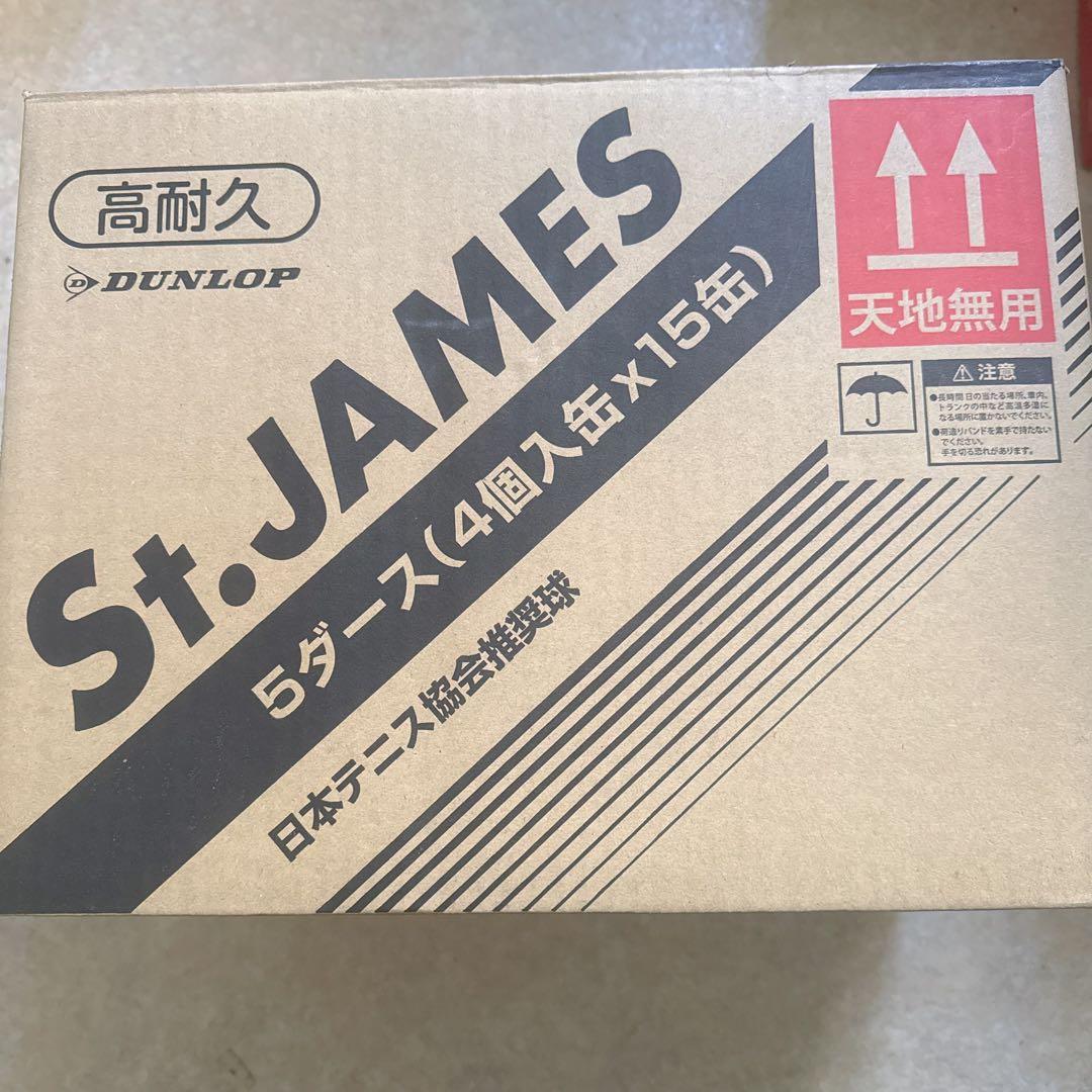 DUNLOP(ダンロップ) 硬式 テニスボール 30缶