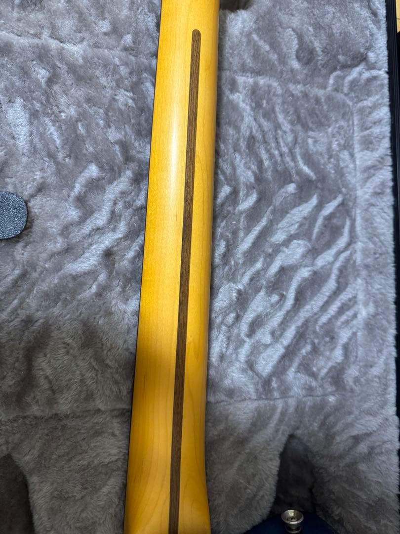 交渉可！Fender American Professional II Tele