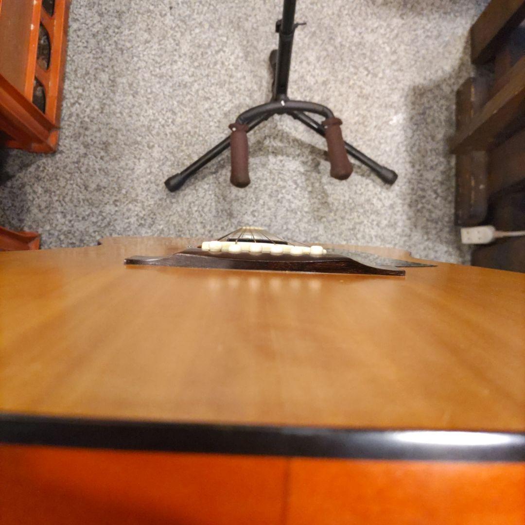 ジャパンヴィンテージ ariana by ARIA エレアコ FG-12