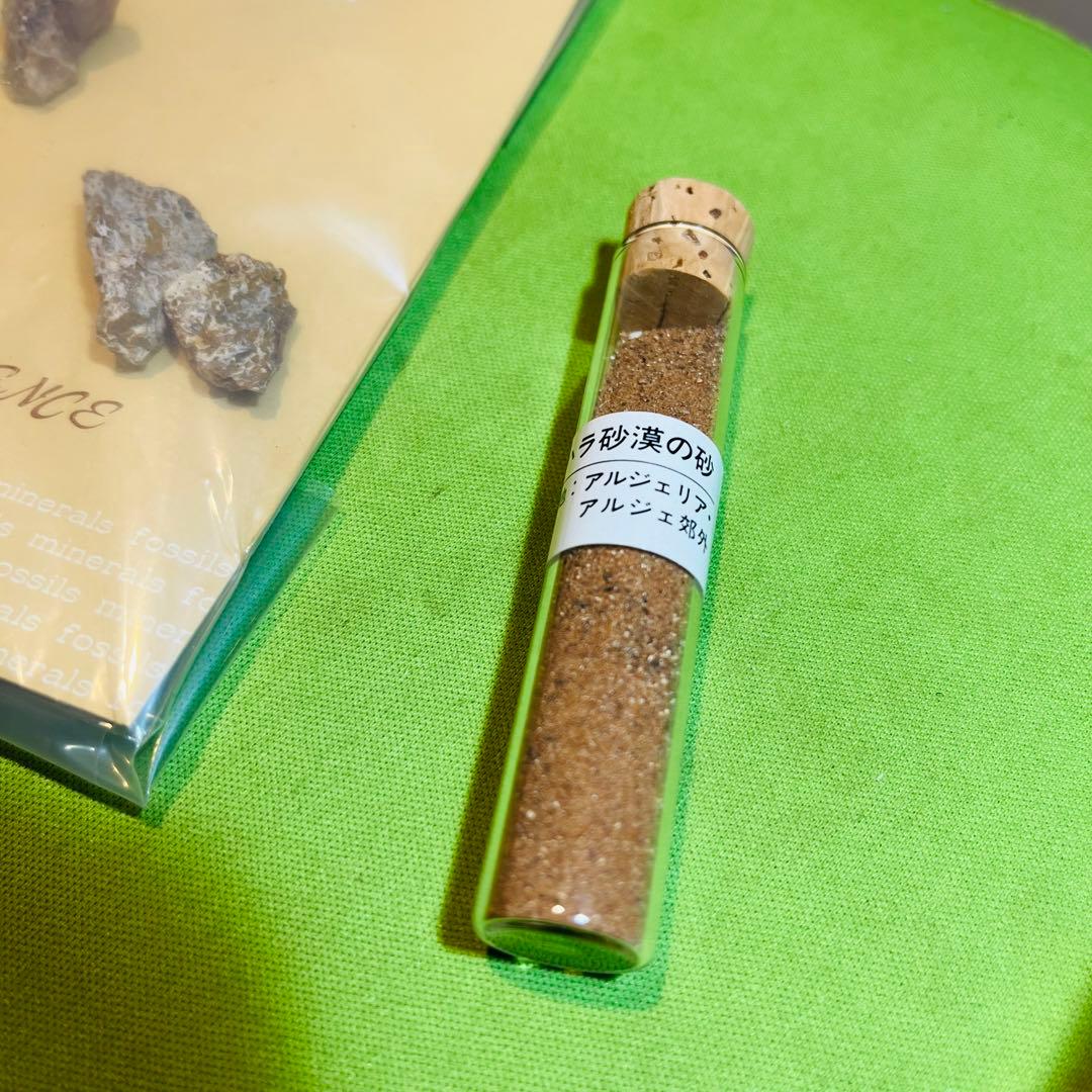 化石 まとめ売り　三葉虫　貝　シダ　ウニ　アンモナイト