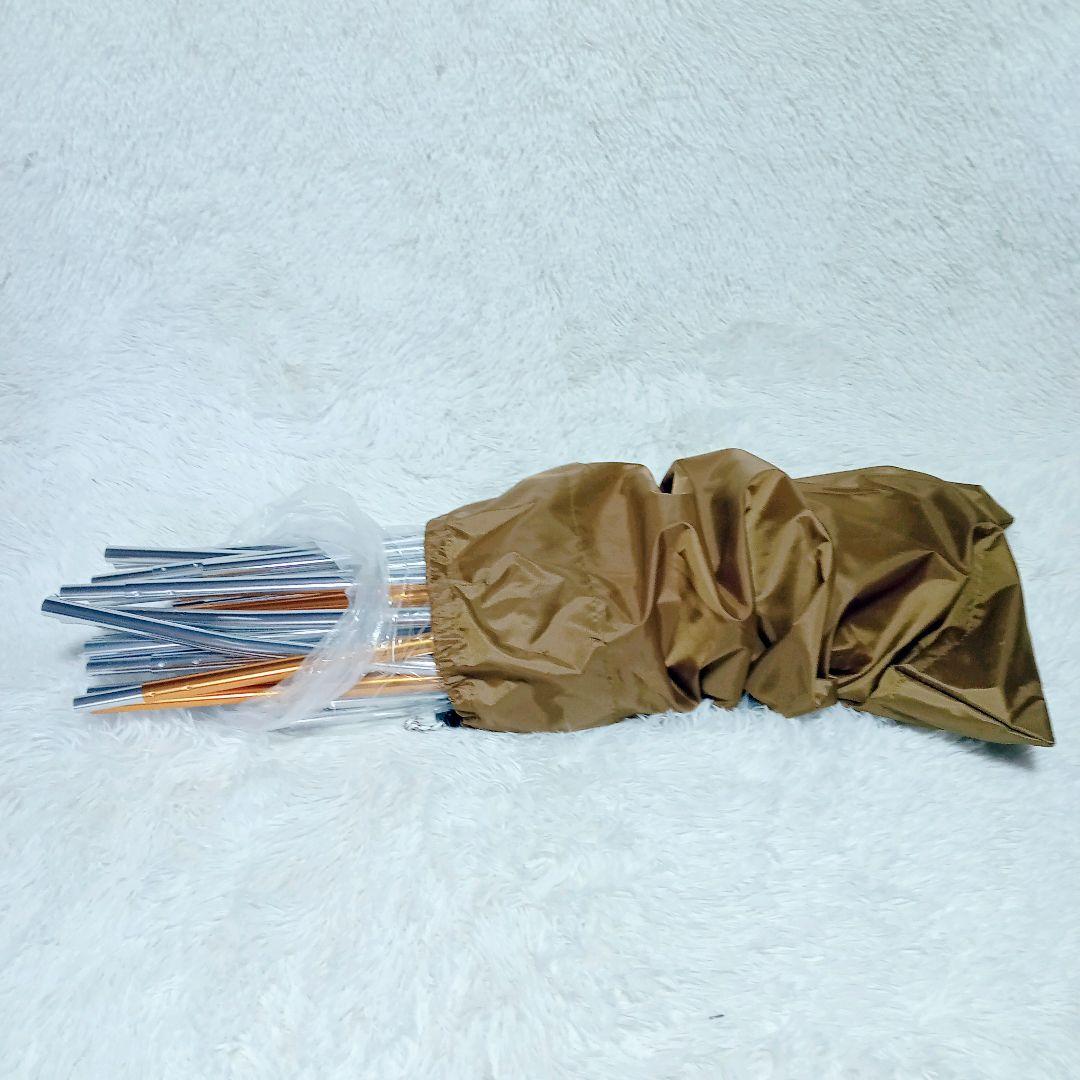 【美品】未使用 スノーピーク エントリー2ルーム エルフィールド TP-880R