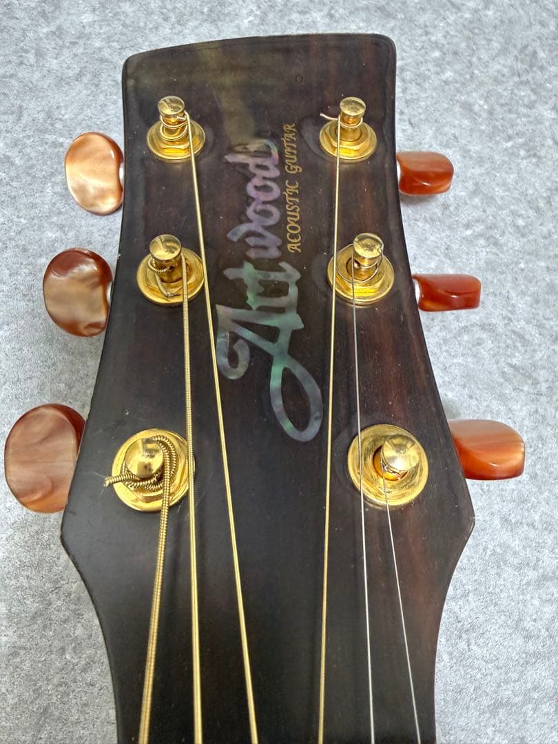 ギター Ibanez Artwood AW1010C