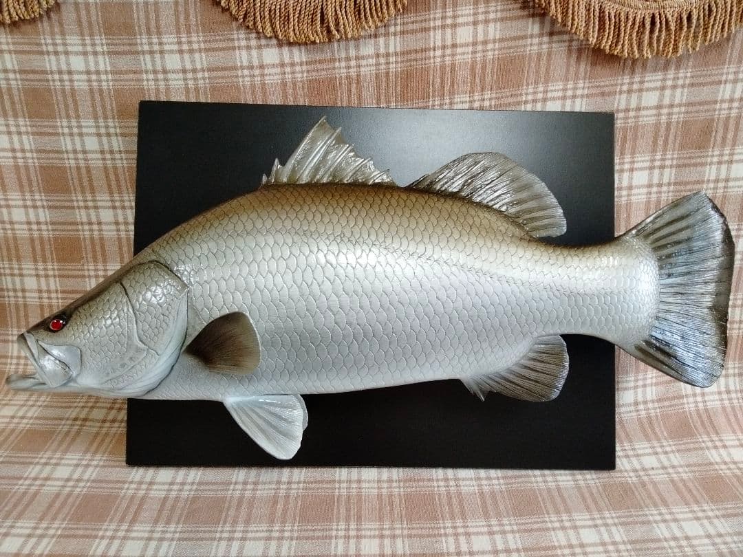 ハンドメイド　50cmアカメ壁掛け　フィギュア　レプリカ　オブジェ　怪魚釣り