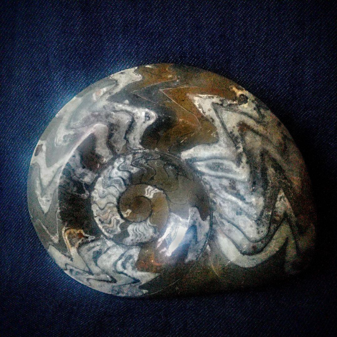 【アンモナイトの祖先】ゴニアタイト 古生代 化石 標本 水晶化 大判 １５cm
