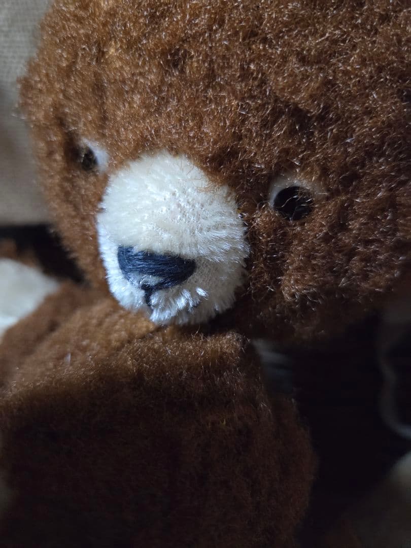 DDRベア　ポンチ目　アンティークテディベア