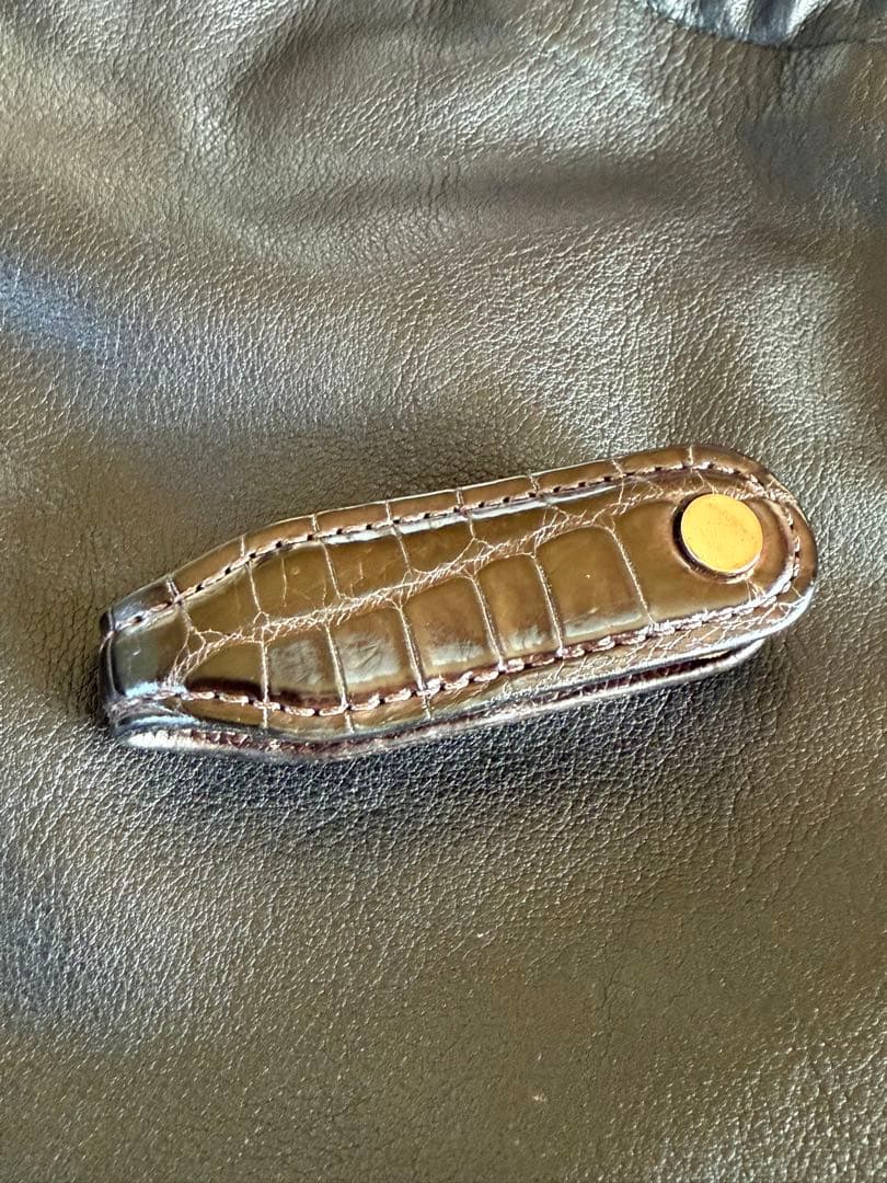 ワイルドスワンズ　ガルダール　チョコ