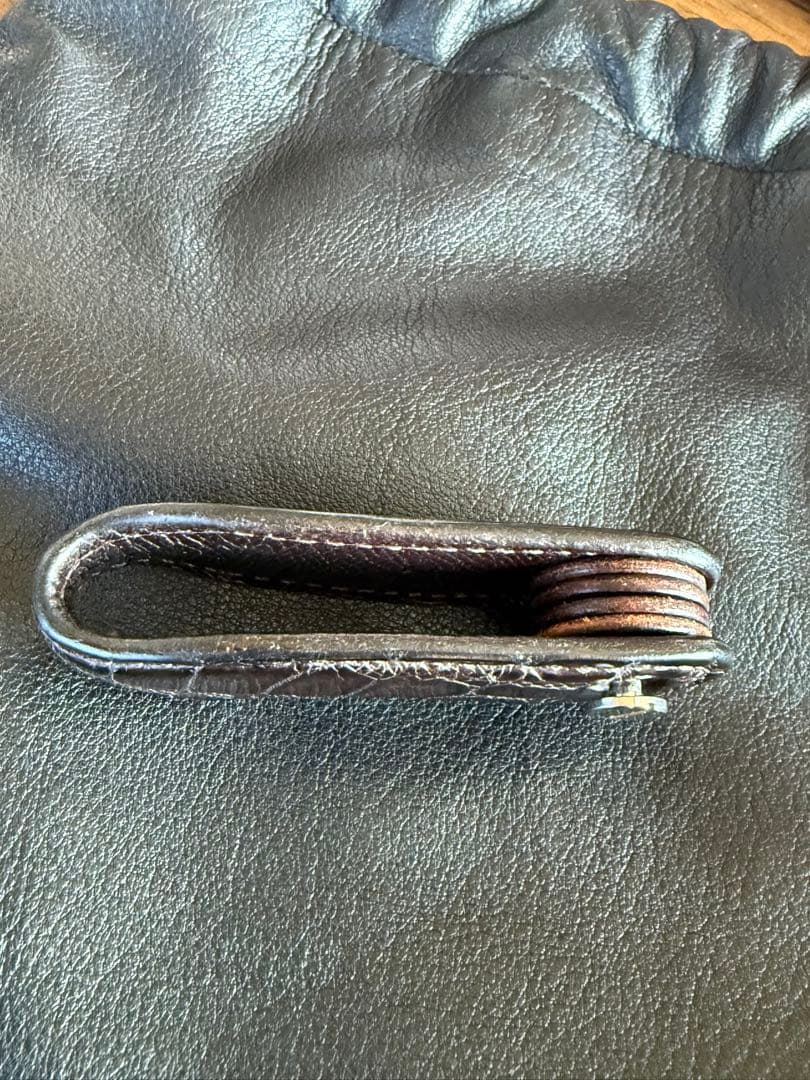 ワイルドスワンズ　ガルダール　チョコ