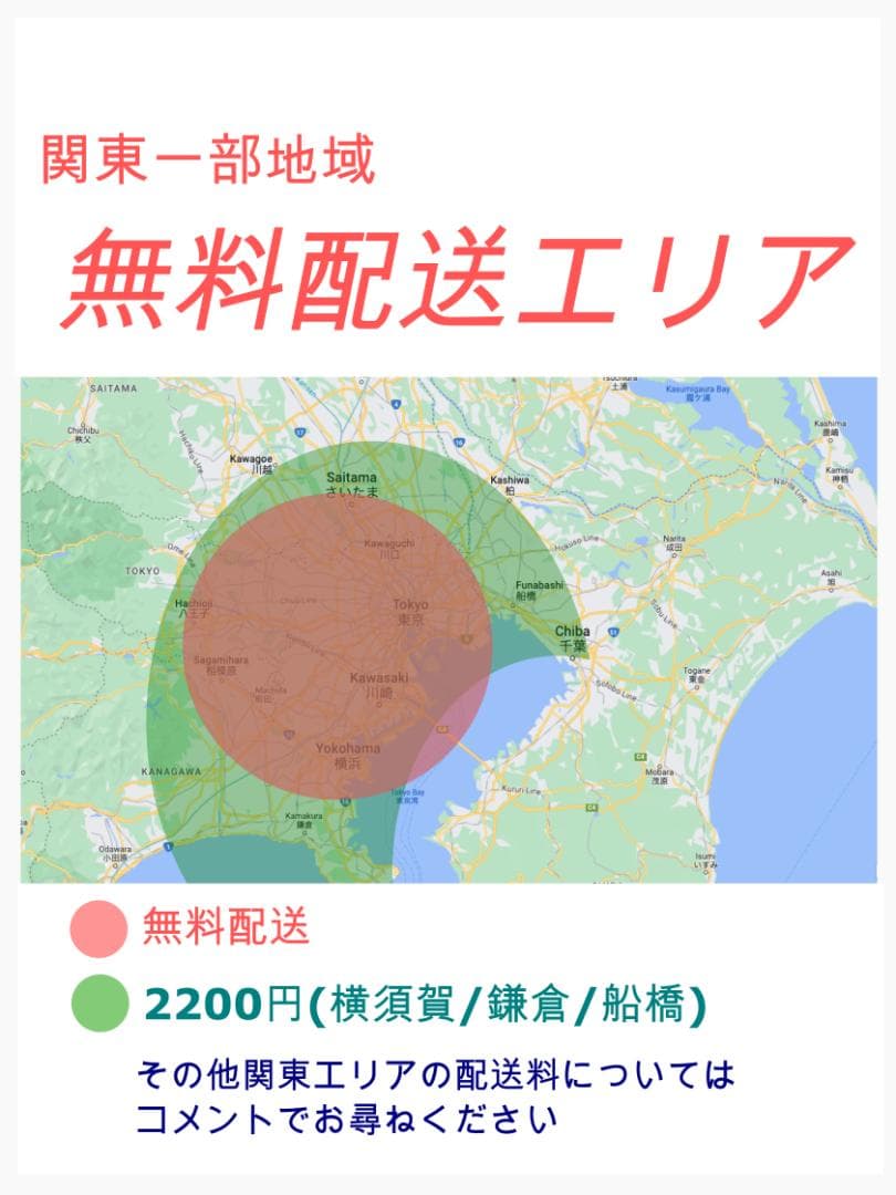 ギュットクルーム2019パナソニック16AH子供乗せ電動アシスト自転車Y2205