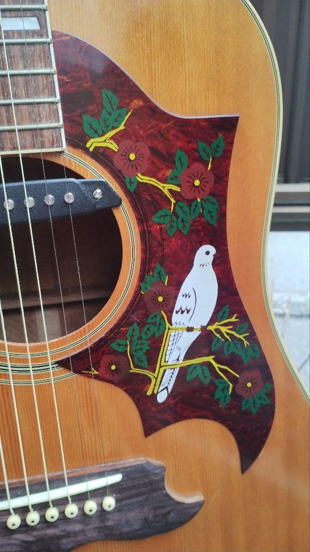 美品 激鳴り！ ジャパンビンテージ DOVE Wピックアップ付エレアコ