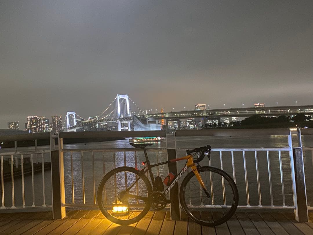 スクルトゥーラ4000リム