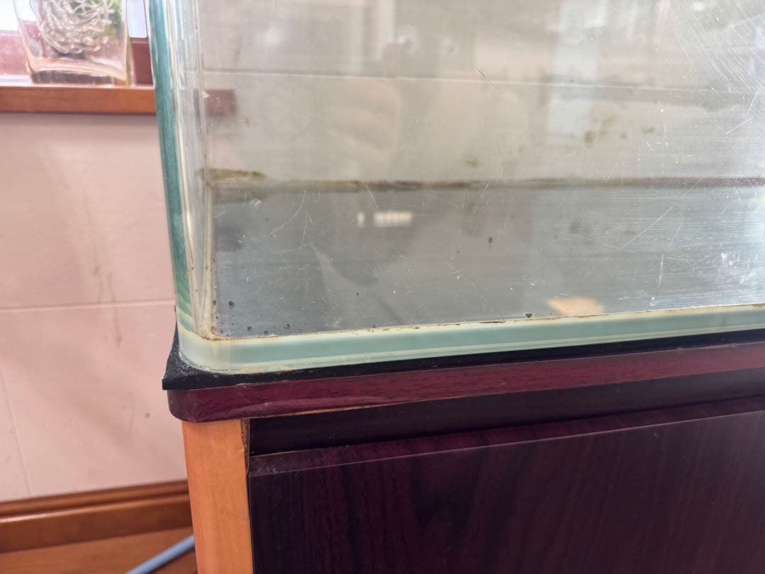 その1大型水槽 (ガラス水槽 オーバーフロー水槽　キャビネットセット)