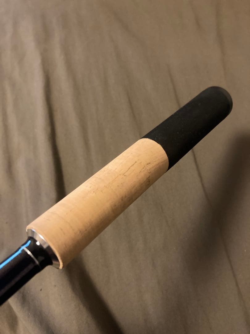 【希少】フィッシュマン　Beams inte9.8L ナチュラム限定