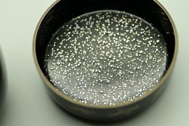 塗師　林勝　黒　大棗　墨絵　波千鳥　内銀平目　茶道具　二重箱　美品